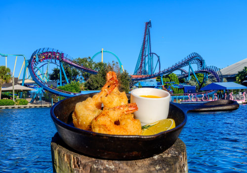 The Insider's Guide to Buying Tickets for Food Festivals in Orlando, Florida